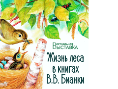 бианки рубрика.png