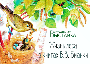 Наши новинки